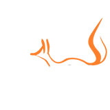www.slimfox.cz